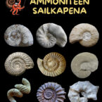 Tailerrak-besteak-01